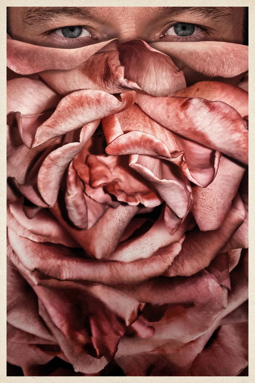 Rosebush Pruning