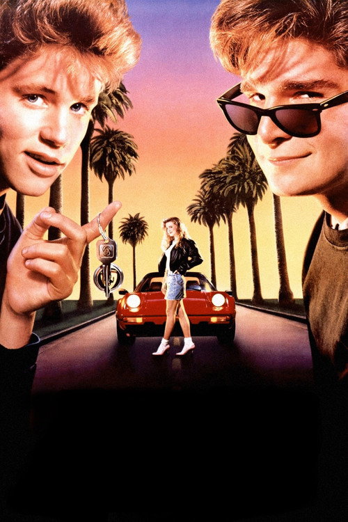 License to Drive