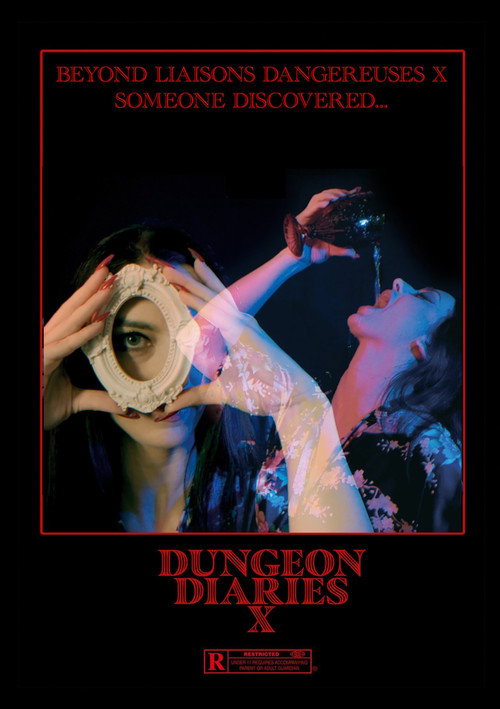 Dungeon Diaries X