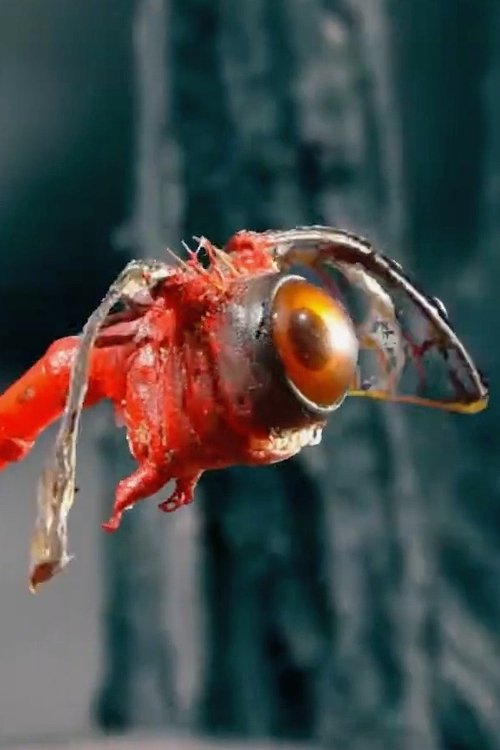 The Substance of Earth