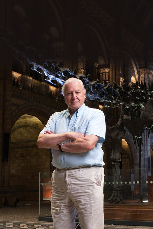 David Attenborough's Natural History Museum Alive
