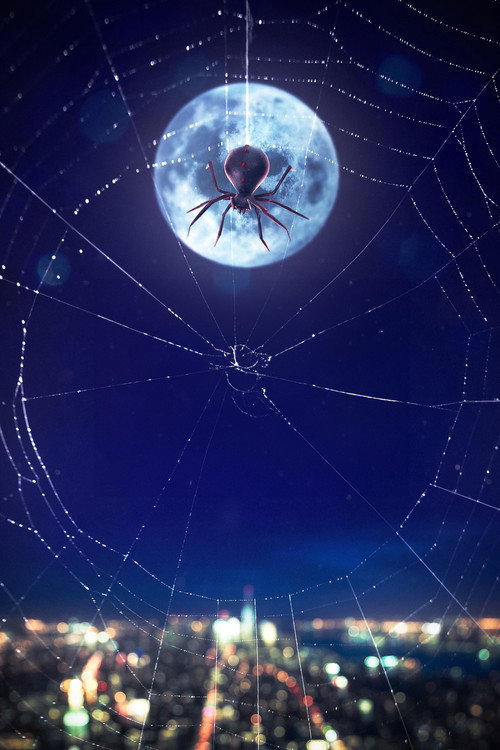 Icons Unearthed: Spider Man