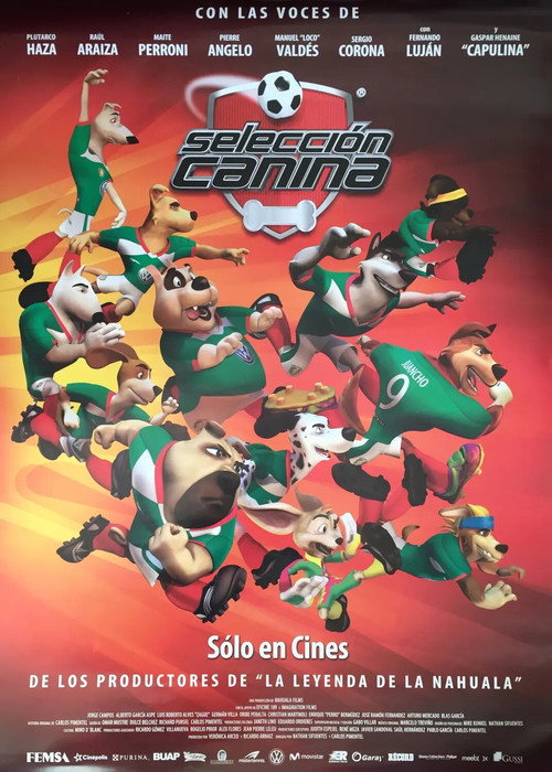 K-9 World Cup