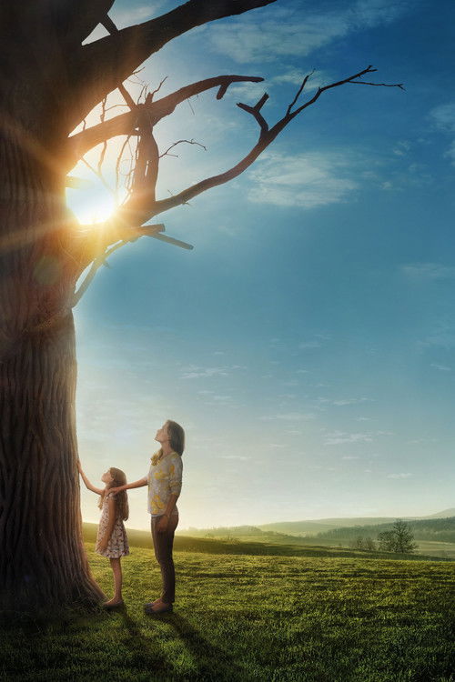 Miracles from Heaven