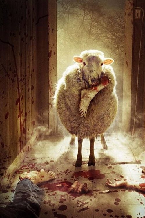 Black Sheep