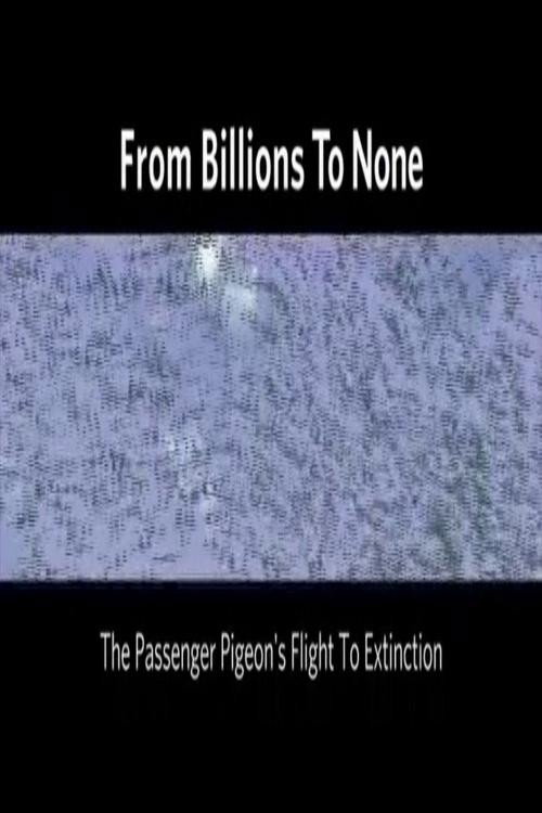 From Billions to None: The Passenger Pigeon's Flight to Extinction