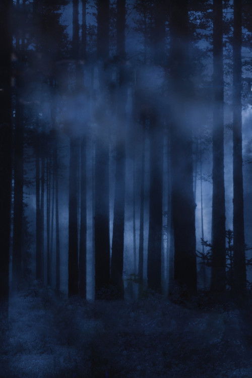 Nightmares & Dreamscapes: From the Stories of Stephen King