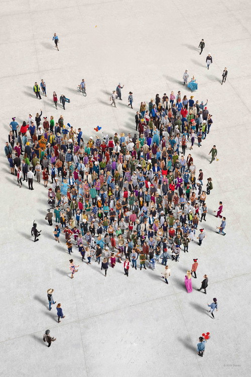 One Day at Disney Shorts